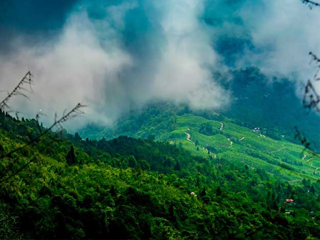darjeeling hills thumbnail