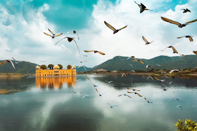 jal mahal pic on golden triangle tour