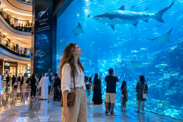 Dubai Mall Aquarium Wonder