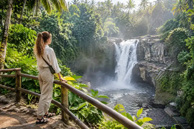 Tropical Waterfall Jungle Overlook